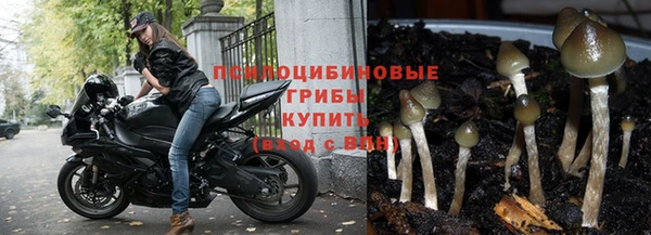 спайс Богородск