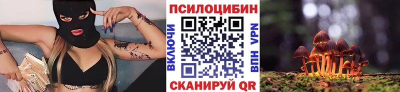 Галлюциногенные грибы Psilocybine cubensis  omg зеркало  Сланцы 
