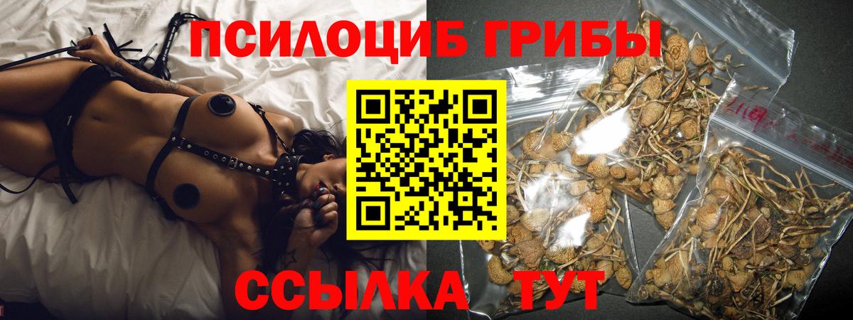 Галлюциногенные грибы Psilocybine cubensis  где продают наркотики  Сланцы  Вход с VPN 
